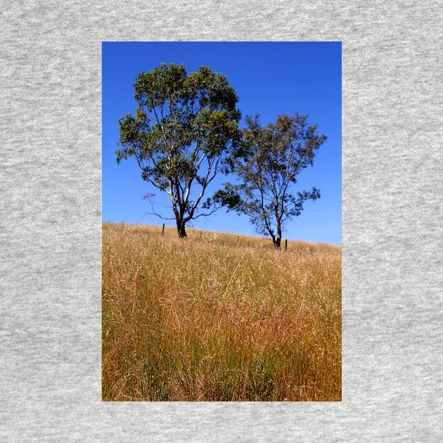 Australian Rural Scenic by jwwallace